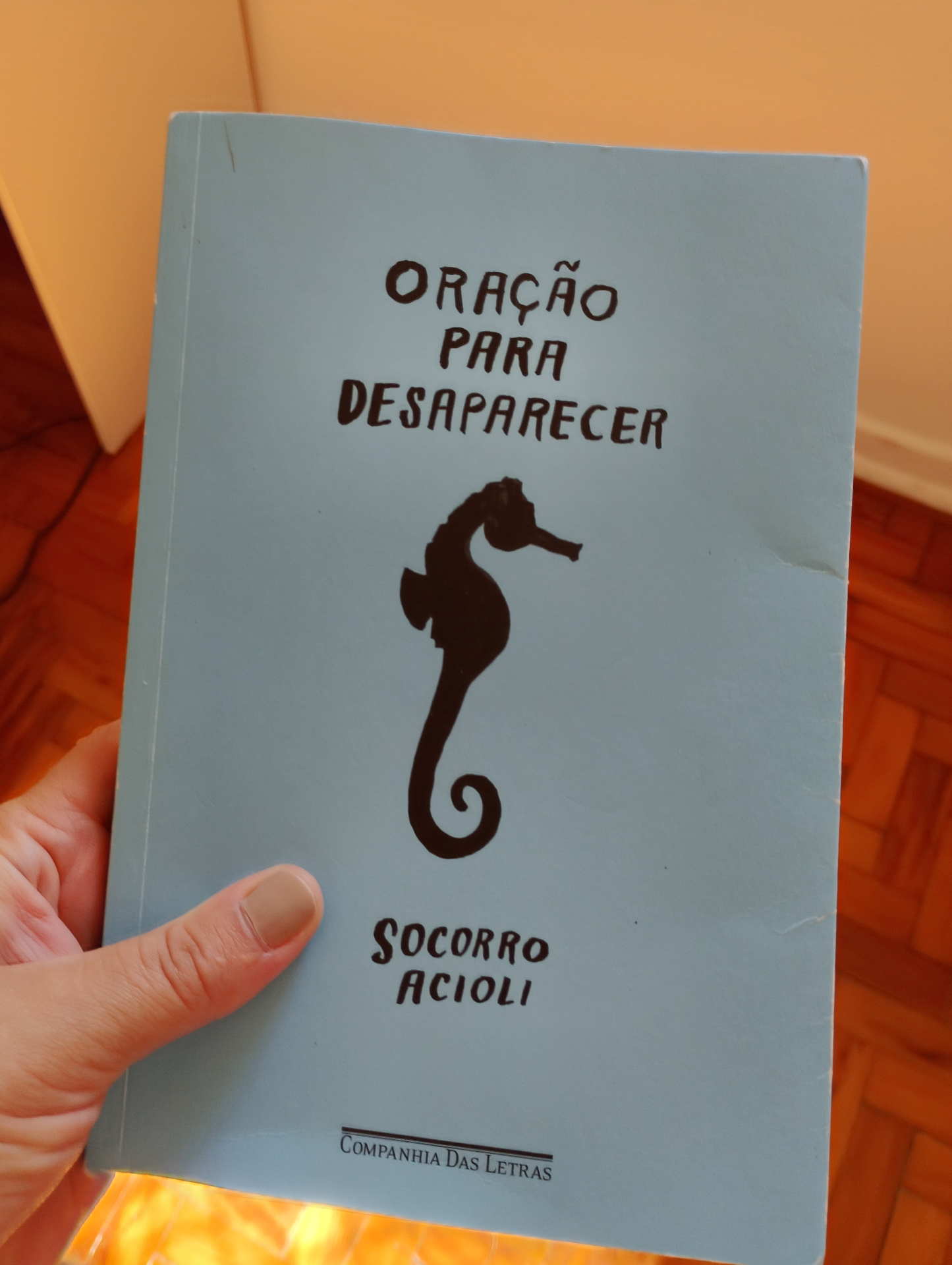 livro oração para desaparecer